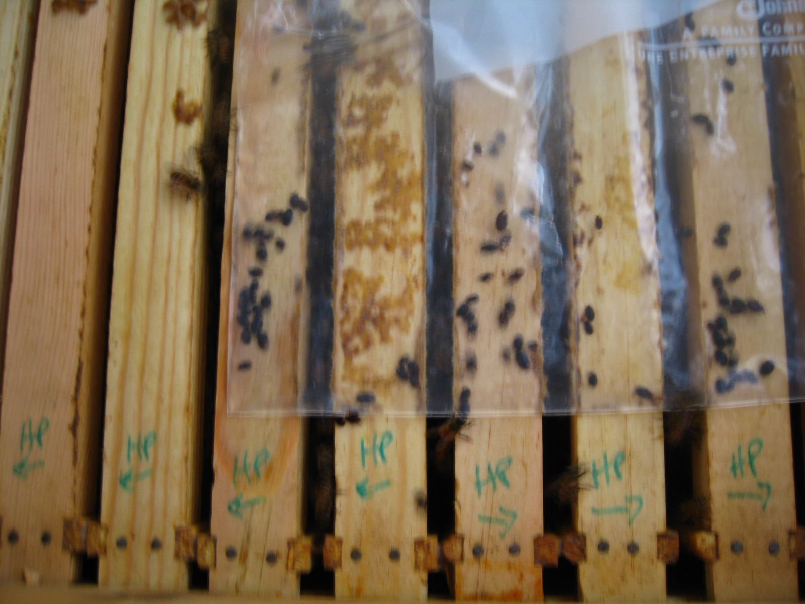 [Wax+2008+006.jpg]