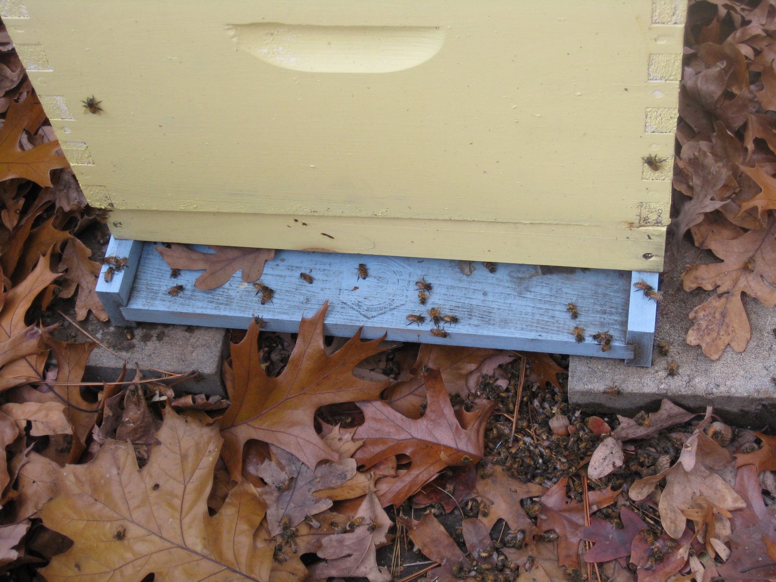 [Wax+2008+001.jpg]