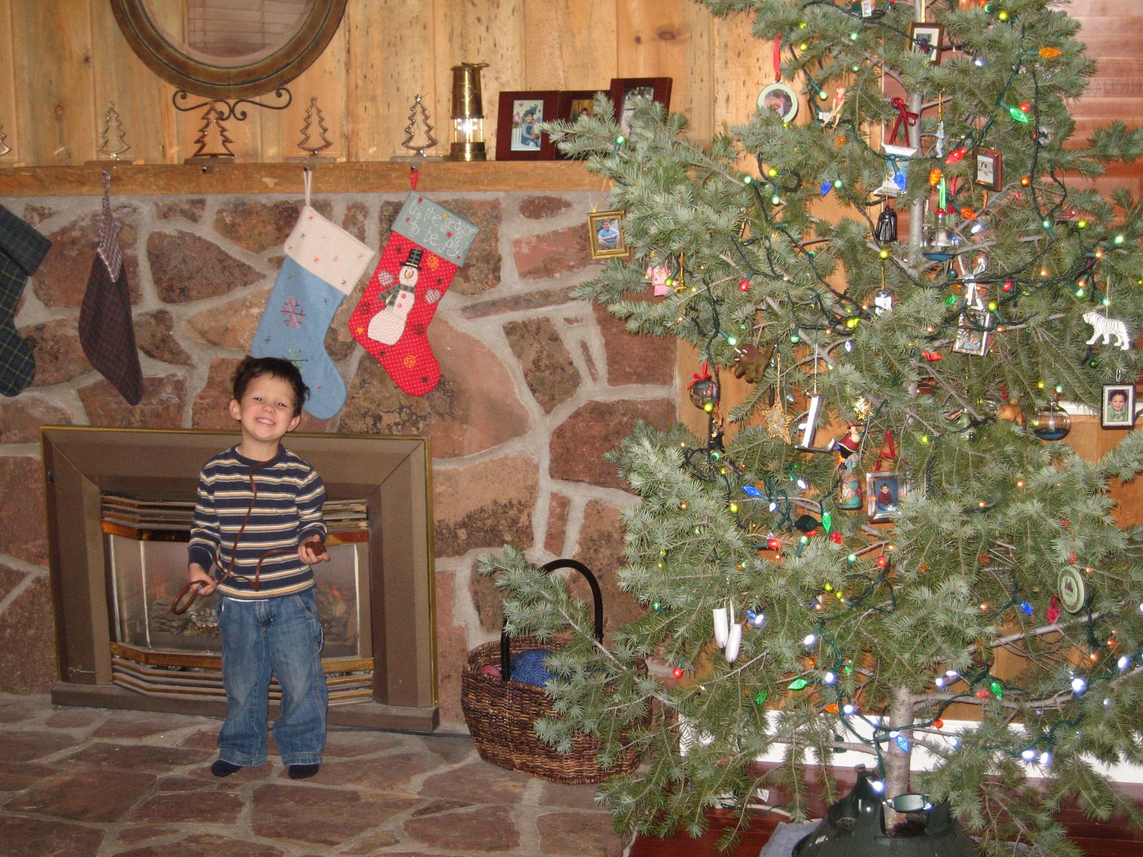 [Christmas+tree+2008+005.jpg]