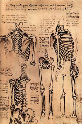 Leonardo's skeletons