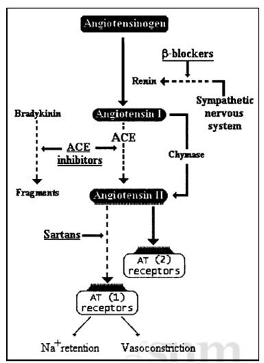 Periactin Without Prescription
