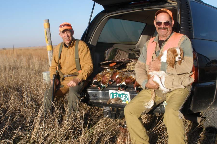 king charles spaniel hunting dog