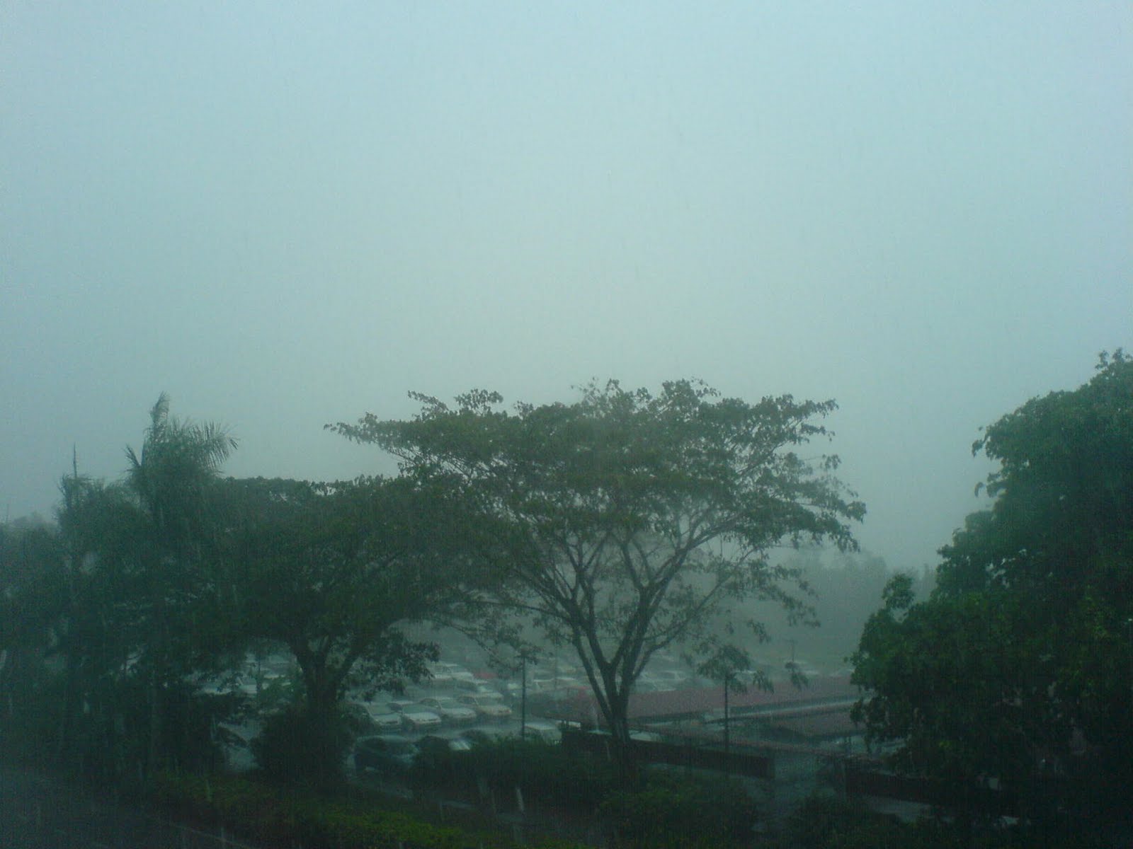 [DSC00323.JPG]