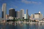[miami.jpg]