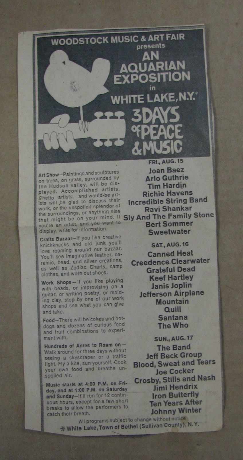 Essay on woodstock 08 picture