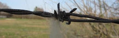 Barbed wire
