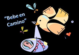 Bebe En Camino