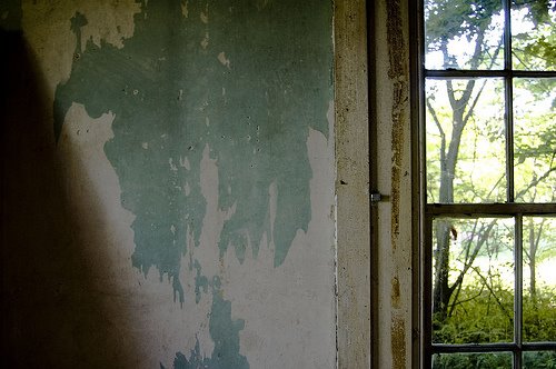 [2644074065_8b9107b6f6.jpg]