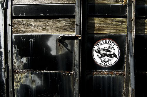 [2979754915_f81a15520f.jpg]