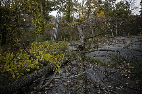 [2980611078_7473020f4d.jpg]