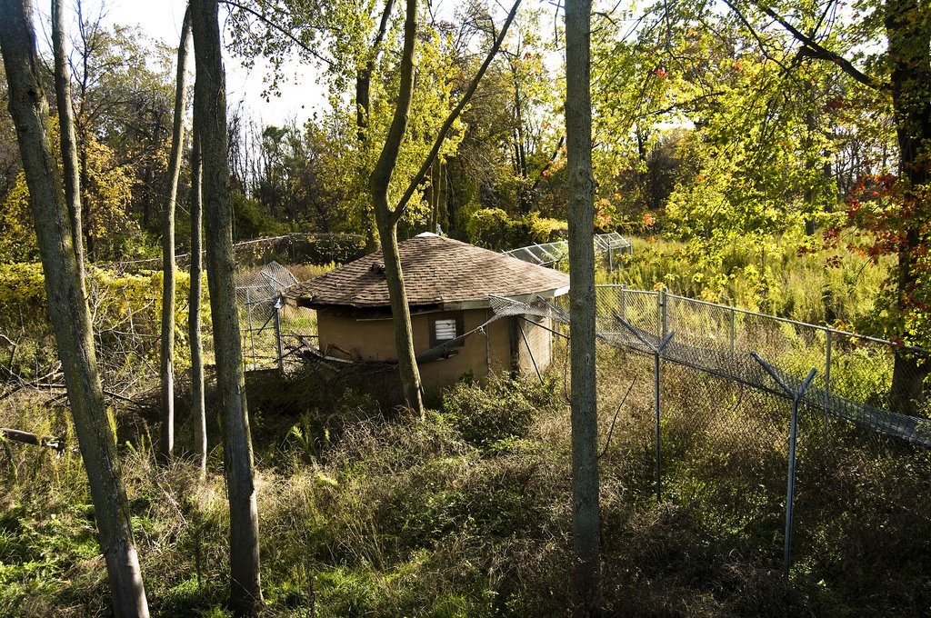 [2979753523_d0357e8585_b.jpg]