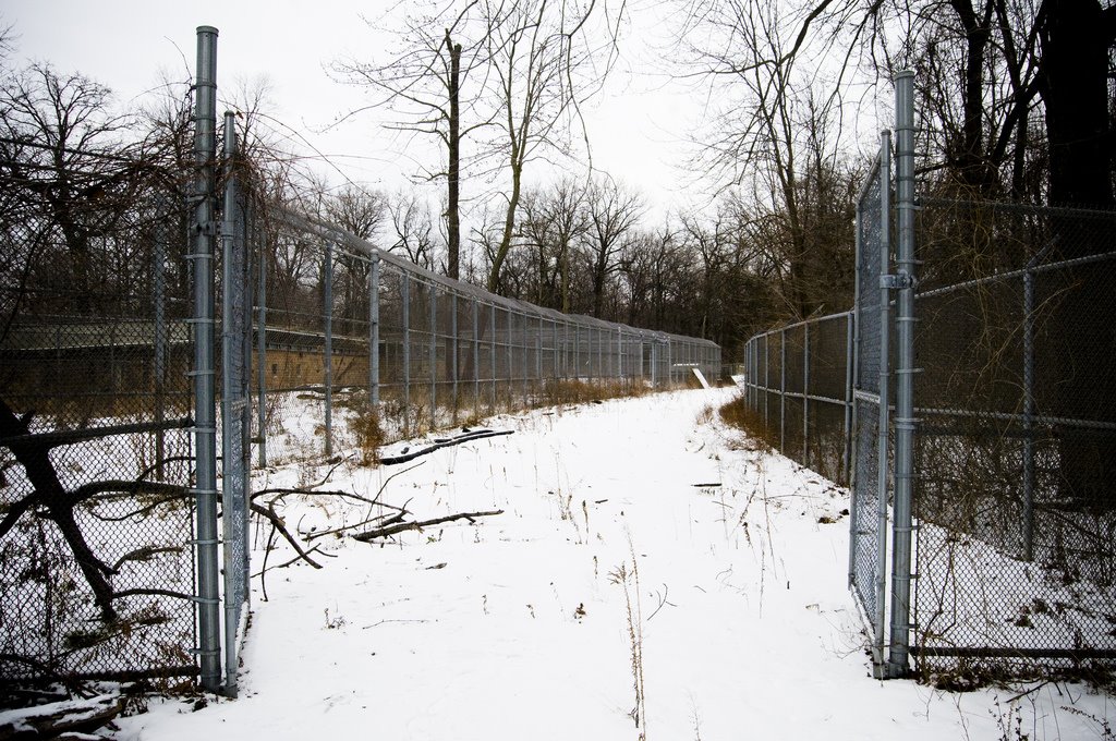 [3167030003_023471928f_b.jpg]