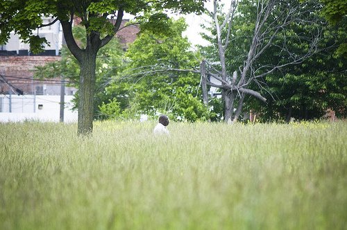 [3624785977_86c9b74d25.jpg]