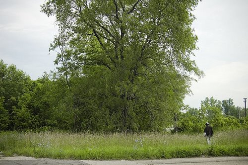 [2653023442_20d70b944f.jpg]