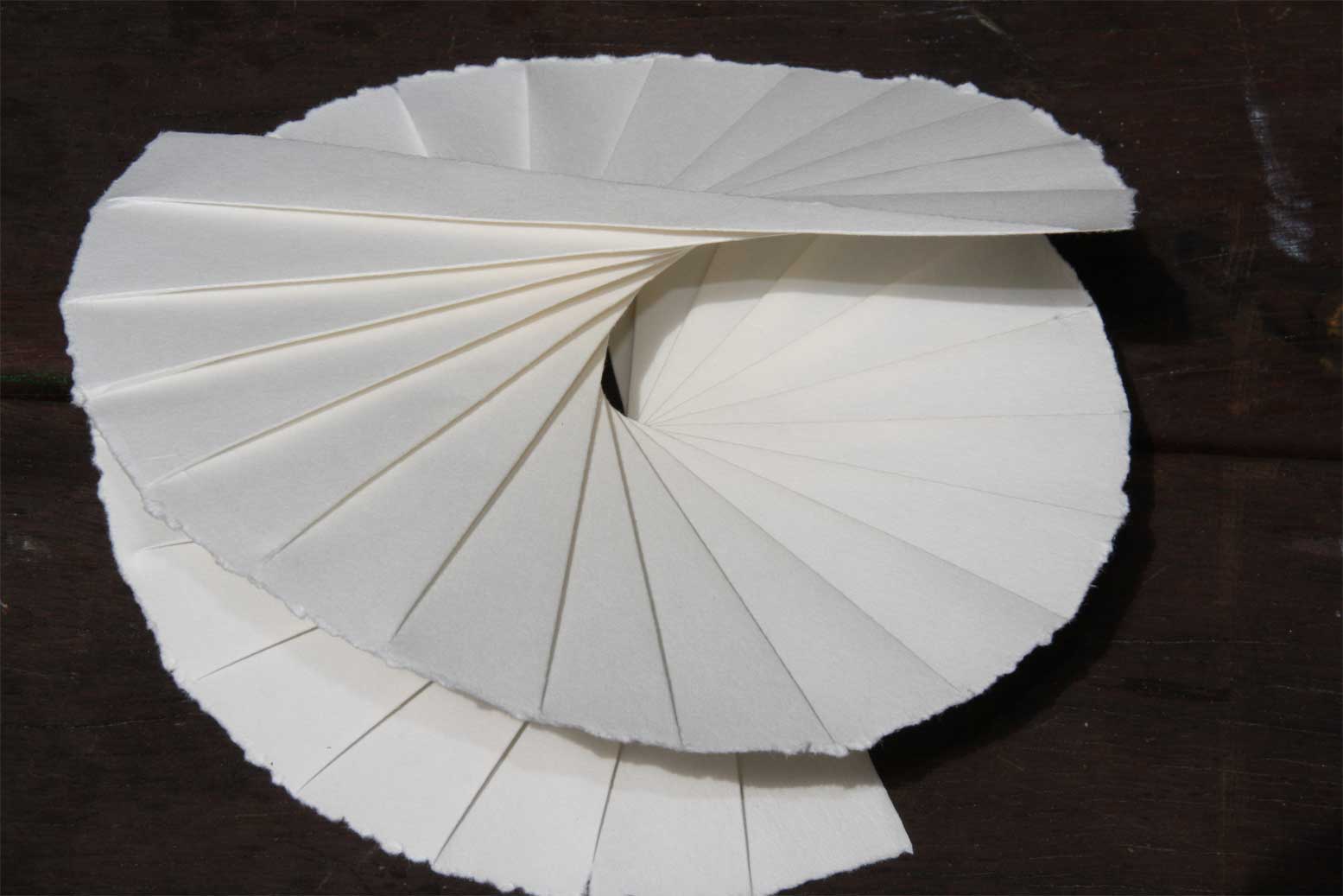 barnacle goose paperworks books