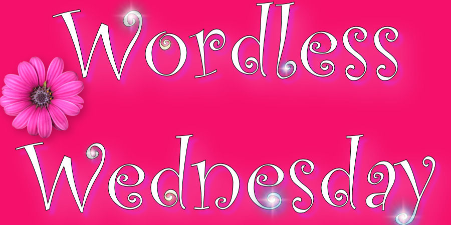 [blog+wednesday2.jpg]