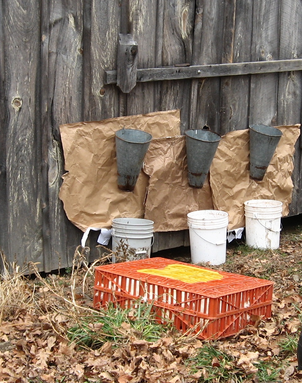 Hay! Ewe! Root for the Farmers! Goodbye Broiler bird, hello Roasted