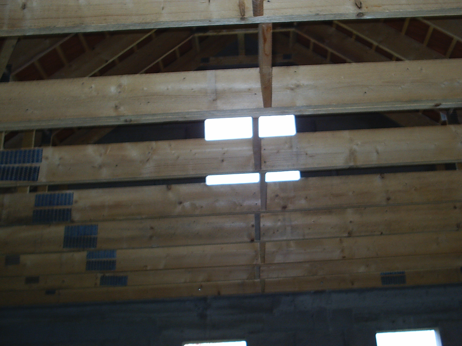 [S2010008.JPG]