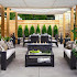 Dreaming of a Pergola