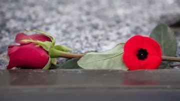 [remembrance_day__327281gm-a.jpg]