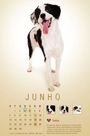 [junho.bmp]