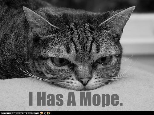 mope.jpg