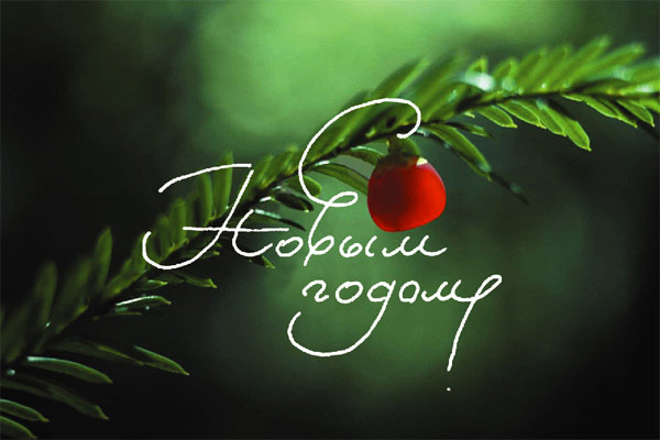 [13030077_motkr50.jpg]