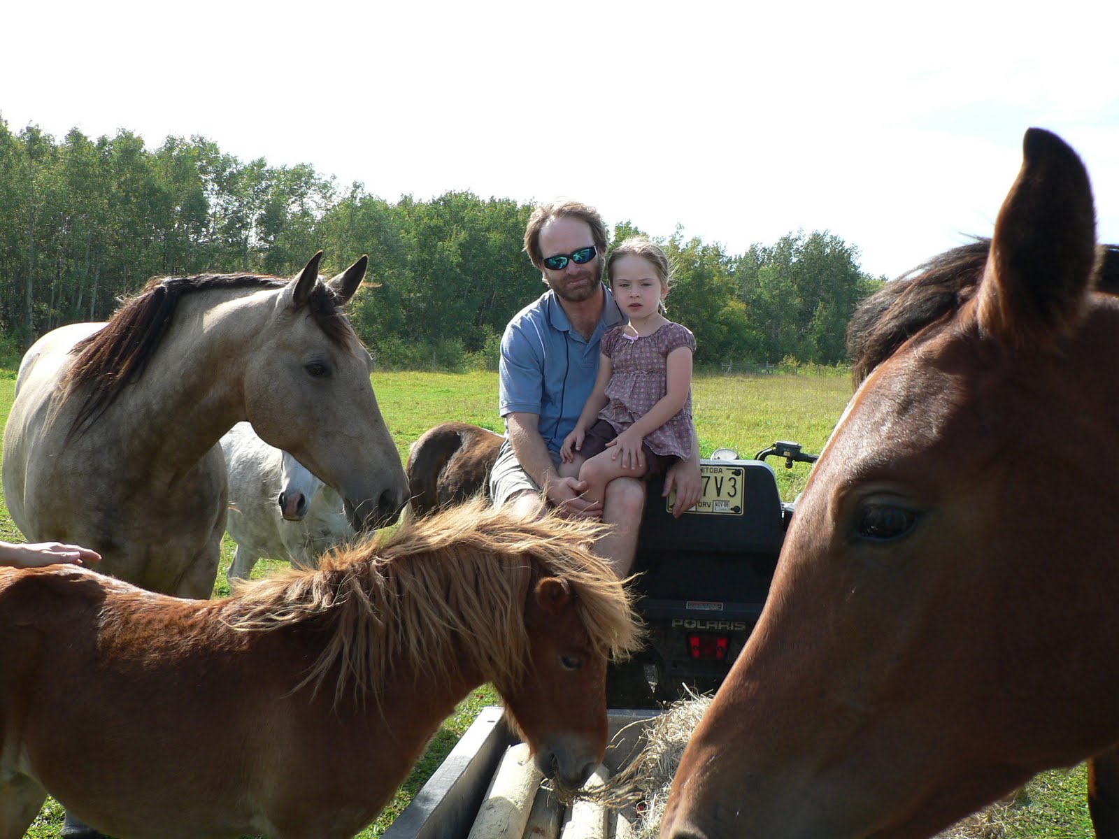 The Hocking Homestead Horse Rescue Ranch