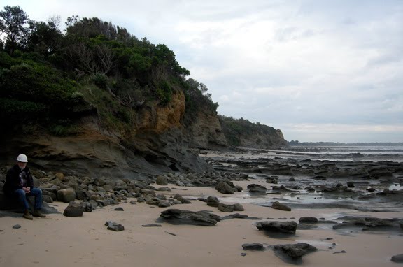 The Great Cretaceous Walk: Flat Out on Flat Rocks