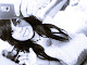 Mi foto