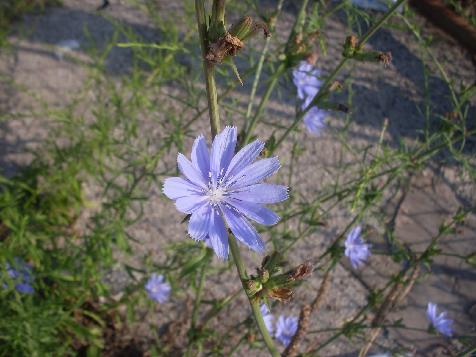[SDC12068.JPG]