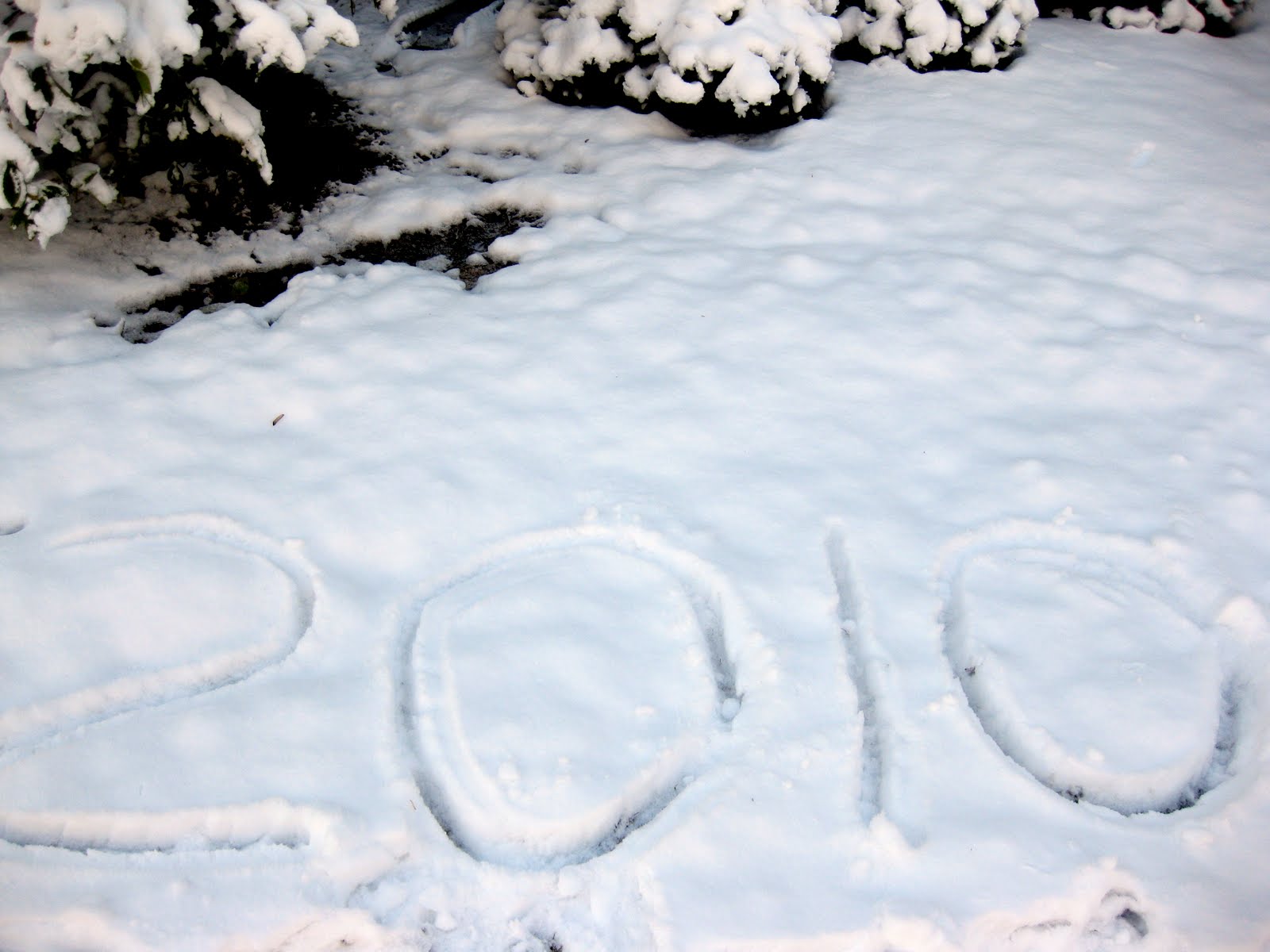 [IMG_2493.JPG]