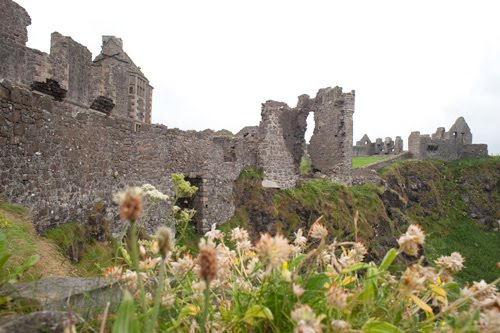 [20090702-DSC_5873.jpg]