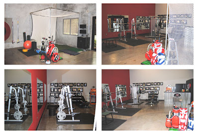 GolfGym Academy,GolfGym,Coach Joey D,Golf Biomechanics,Golf Fitness