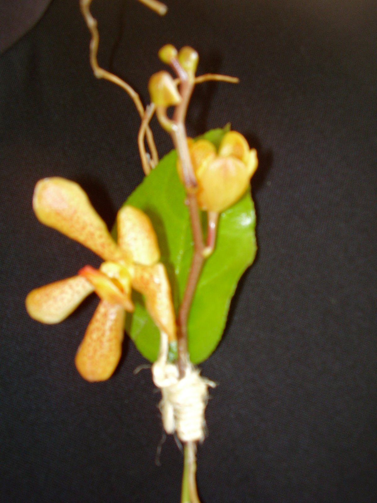 [P9230413.JPG]
