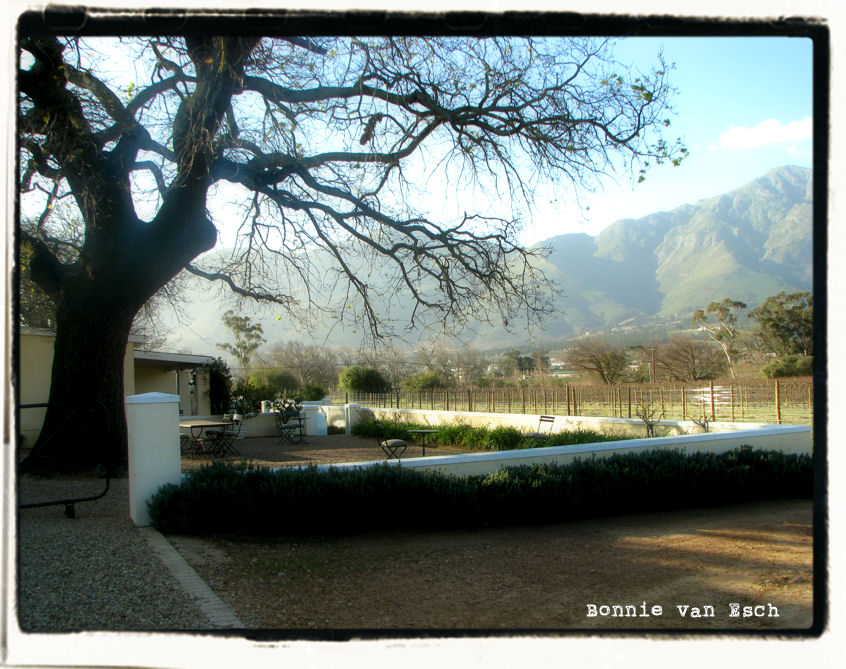 [aug+9-Franschhoek+080.jpg]