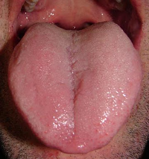 Q ES LENGUA q es lengua: