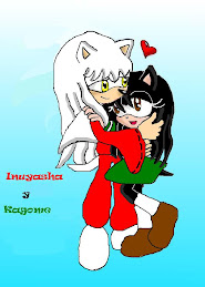 Erizos Inuyasha & Kagome