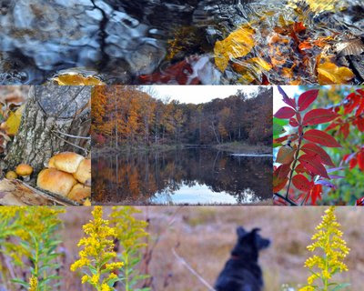 Fall Color in the Missouri Ozarks Fall Color in the Missouri Ozarks