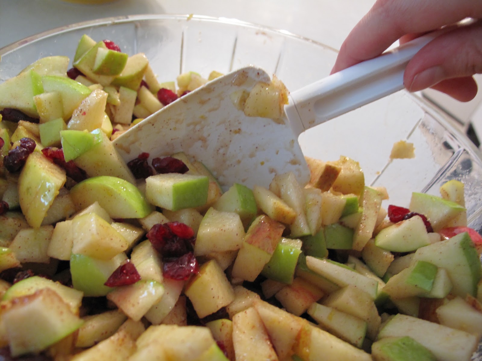 Harvest Apple Salsa and Cinnamon Tortilla Chips Purple Chocolat Home