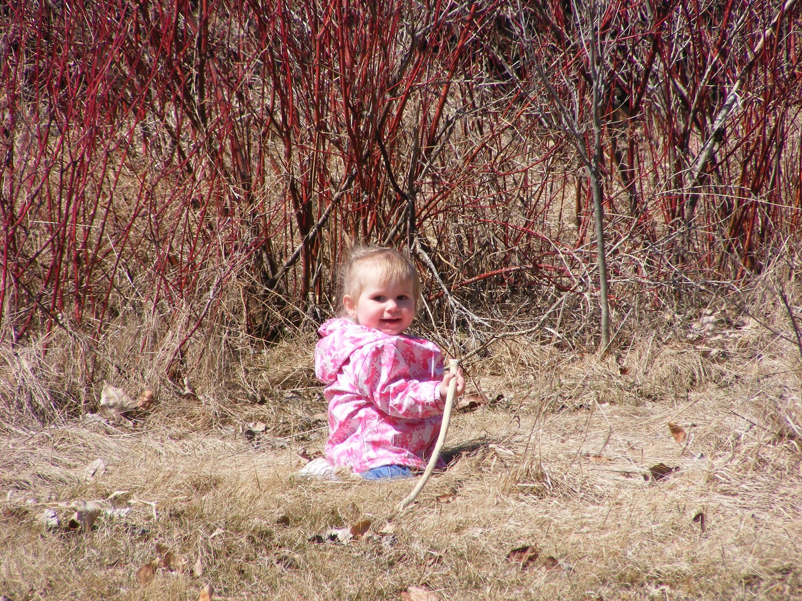 [DSCF5489.JPG]