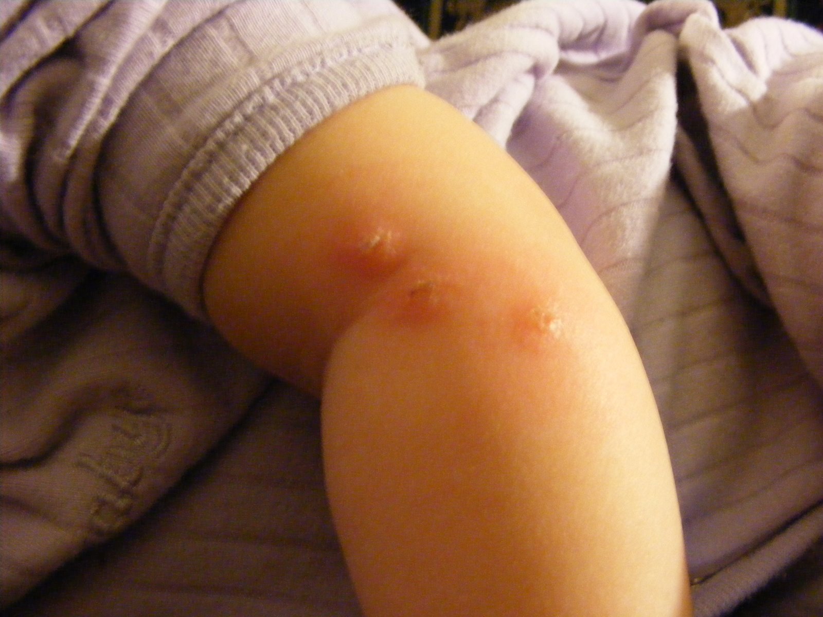 [DSCF5882.JPG]