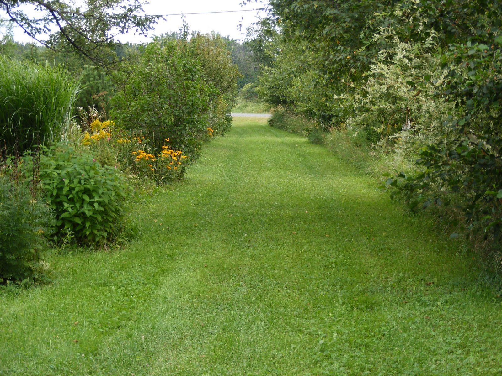 [DSCF7722.JPG]
