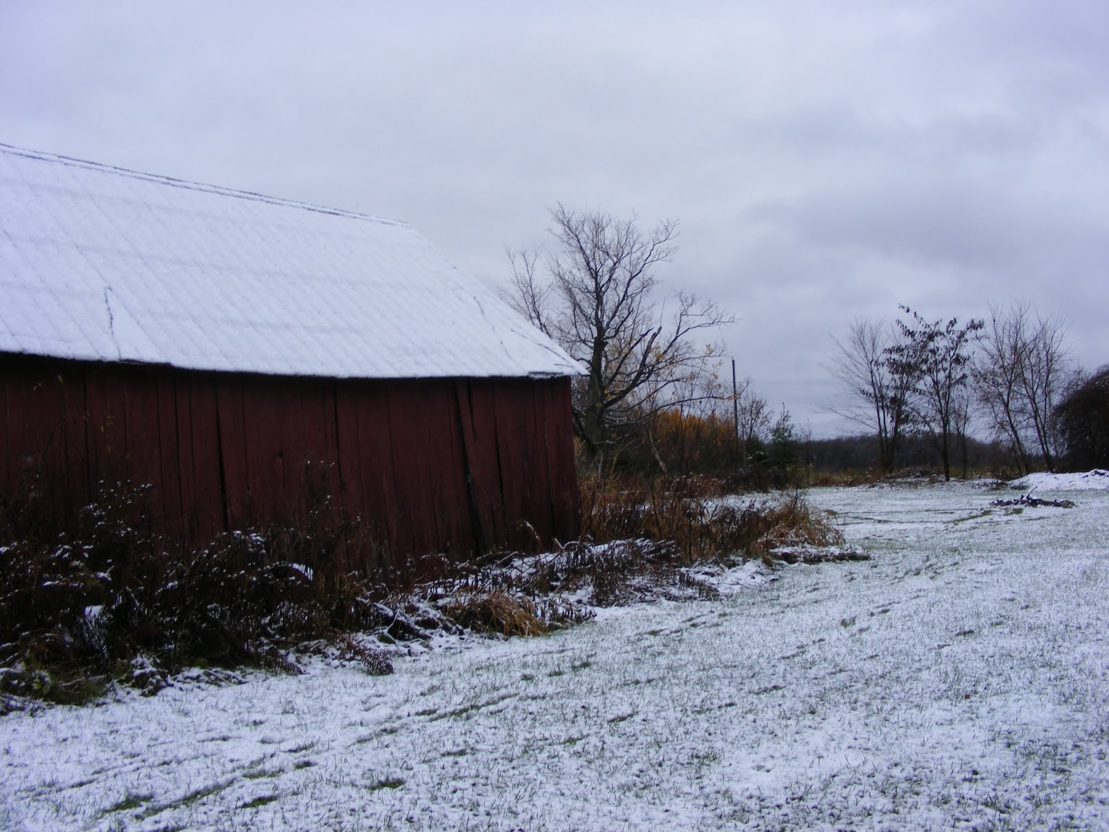 [2009_1106fast0329.JPG]