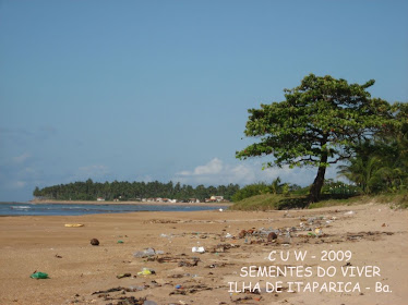 Praia suja antes da limpeza