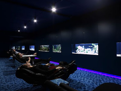 Oficinas Google Suiza_sillon_relax_More AdWords