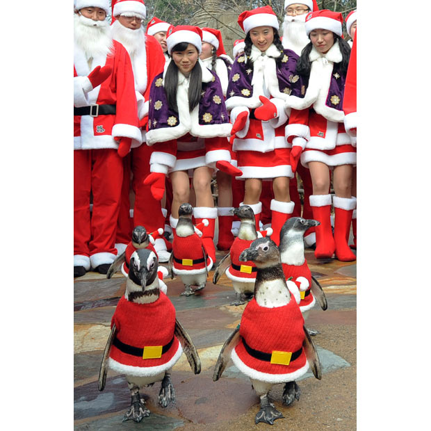 South Pole Outfits
