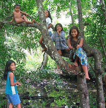 http://4.bp.blogspot.com/_PxzDuG1PBA8/TTPfOyMDakI/AAAAAAAAAHo/T581FId9ZEQ/s1600/Children%2Bin%2BTree.jpg