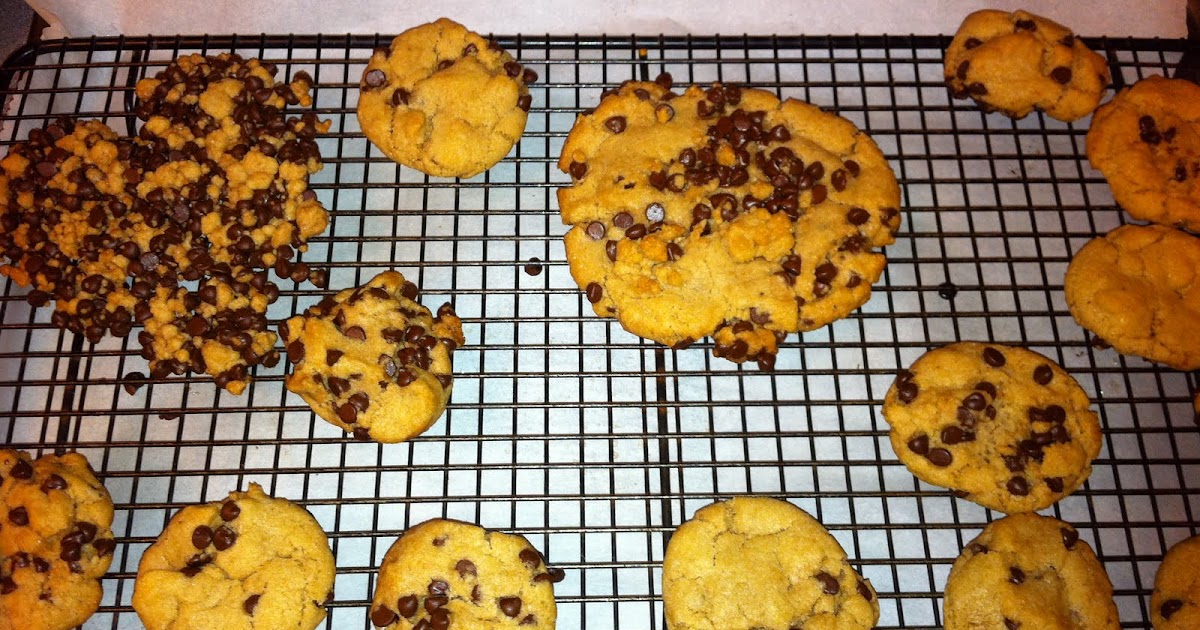 Marty's Flying Vegan Review Sarahs coconut chocolate chip cookies