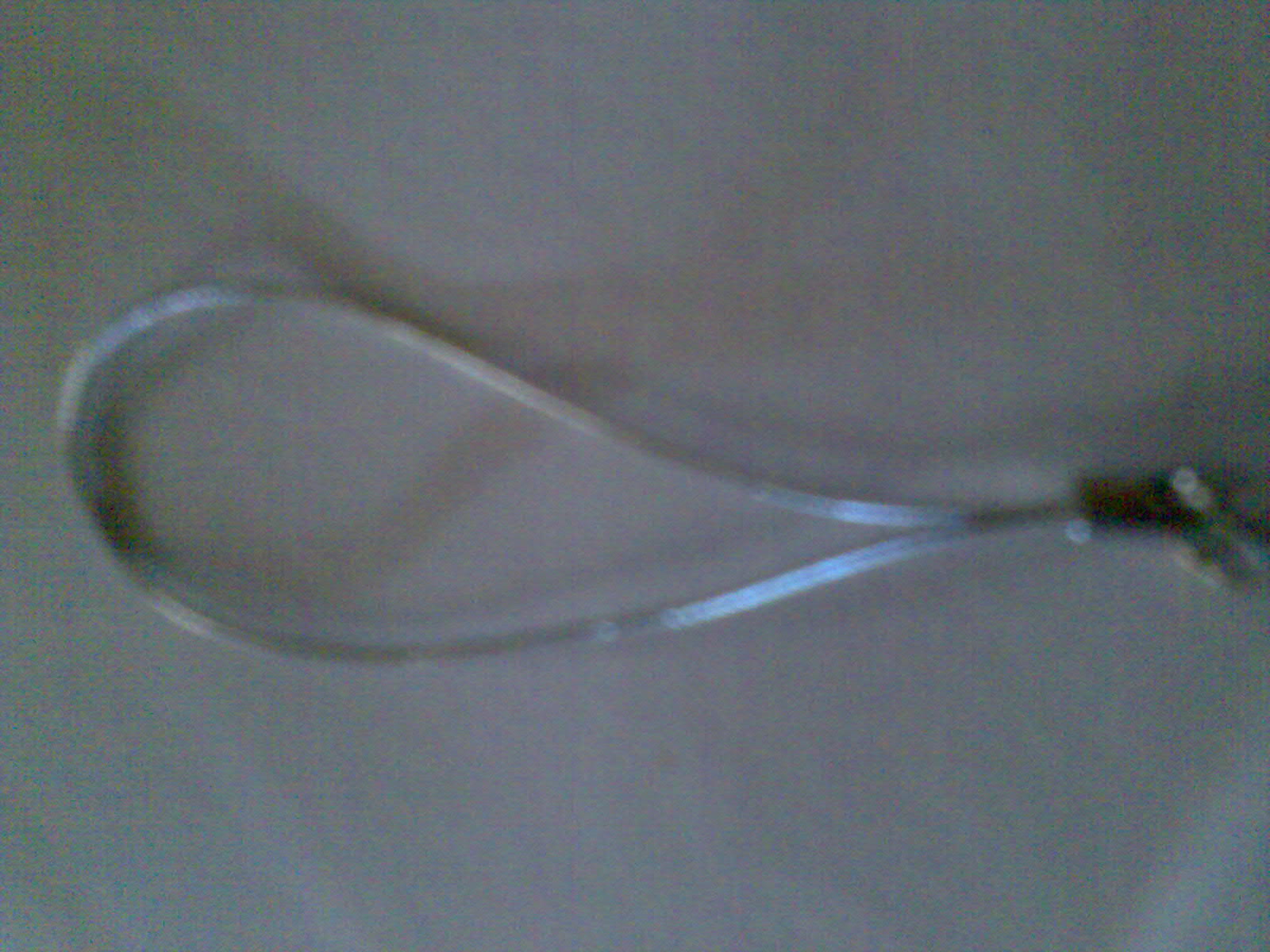 [Image013.jpg]